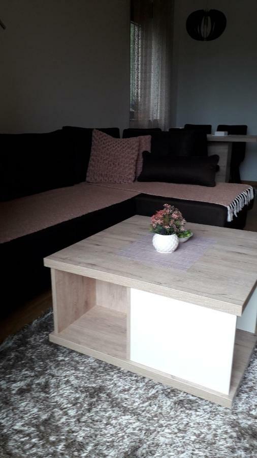 Apartman Nana Svetogorska 19 ,Stan 17 Zlatibor Ngoại thất bức ảnh