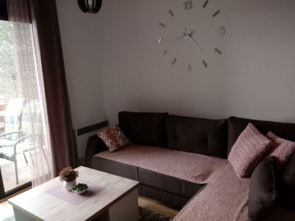 Apartman Nana Svetogorska 19 ,Stan 17 Zlatibor Ngoại thất bức ảnh