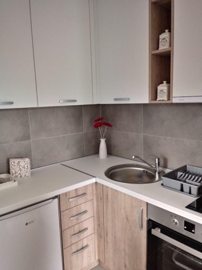 Apartman Nana Svetogorska 19 ,Stan 17 Zlatibor Ngoại thất bức ảnh