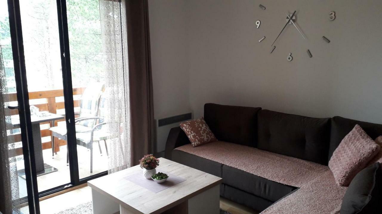 Apartman Nana Svetogorska 19 ,Stan 17 Zlatibor Ngoại thất bức ảnh