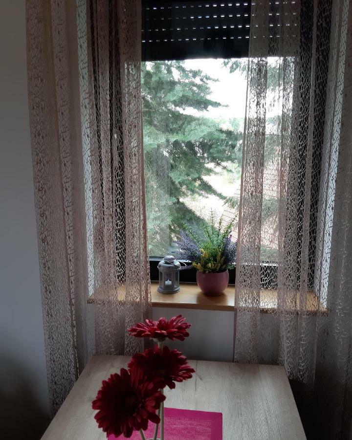 Apartman Nana Svetogorska 19 ,Stan 17 Zlatibor Ngoại thất bức ảnh