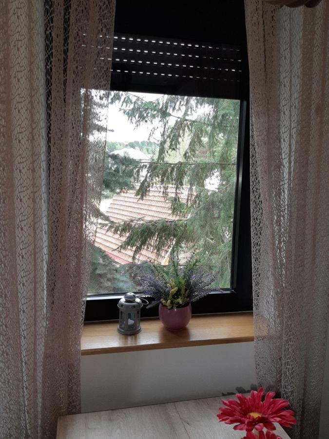 Apartman Nana Svetogorska 19 ,Stan 17 Zlatibor Ngoại thất bức ảnh